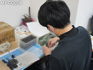 work image